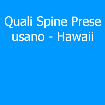 Hawaii – Quali spine (prese) eletriche si usano?
