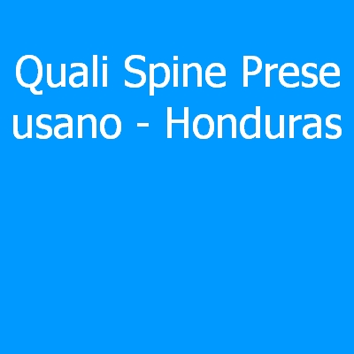 Honduras – Quali spine (prese) eletriche si usano?