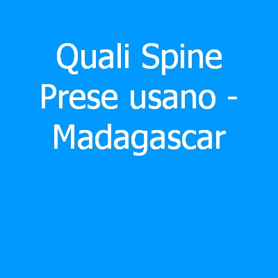 Madagascar – Quali spine (prese) eletriche si usano?