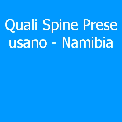 Namibia – Quali spine (prese) eletriche si usano?