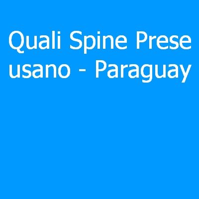 Paraguay – Quali spine (prese) eletriche si usano?