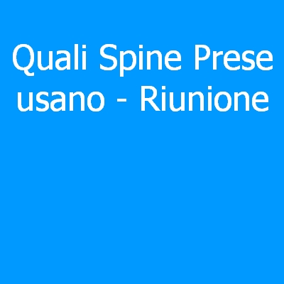 Riunione – Quali spine (prese) eletriche si usano?